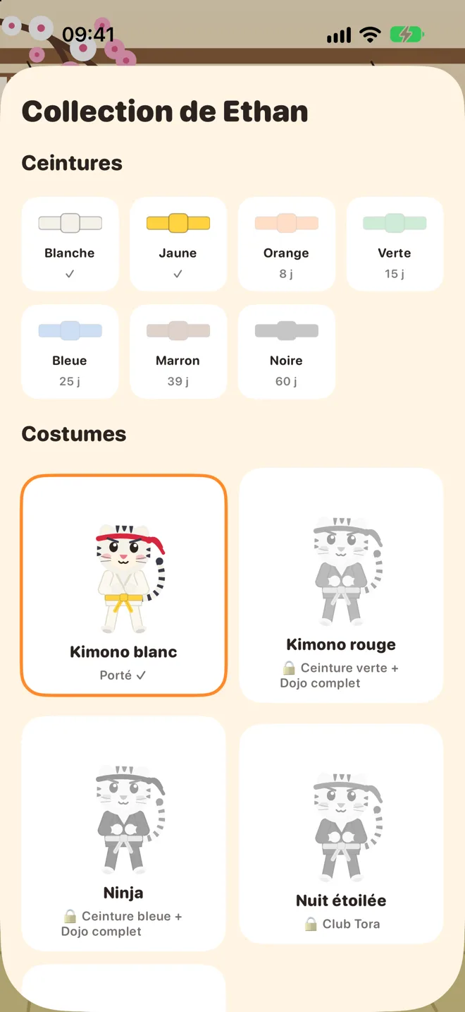 Collection de ceintures et de costumes